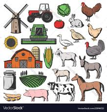 Cattle Farm Animals And Agriculture Harvesting Vector Image On Vectorstock Cattle Farming Farm Animals Cattle