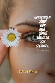 Edebi Akim Adli Kullanicinin Durum Sozleri Panosundaki Pin Ozlu Sozler Kalp Sozleri Guzel Soz