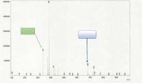 Image result for Mostuea