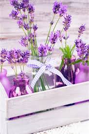 Schone Lila Lavendelblumen Flaschen Holzkiste 1242x2688 Iphone 11 Pro Xs Max Hintergrundbilder Hd Bild Dieser pinnwand folgen 5791 nutzer auf pinterest.