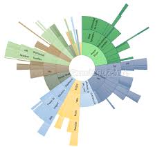 sunburst chart how to use it and how to understand it