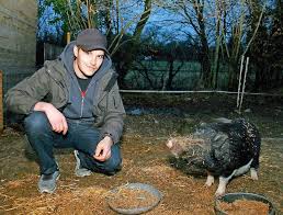 Tierfreund trauert um Hängebauchschwein