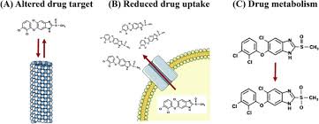 We did not find results for: Drug Resistance In Liver Flukes Sciencedirect