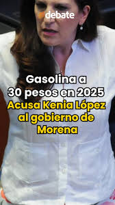 🗣️ Kenia López, diputada federal del PAN, se lanzó contra Morena por el  precio de la gasolina en el país.