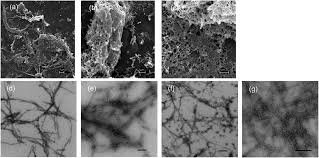 We would like to show you a description here but the site won't allow us. Current Characterization Methods For Cellulose Nanomaterials Chemical Society Reviews Rsc Publishing Doi 10 1039 C6cs00895j