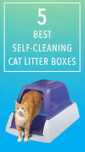 Best Automatic Litter Boxes In 2021 Best Cat Litter Boxes In The Uk Best Small Pets Best Cat Litter Cat Litter Box