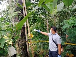 Maybe you would like to learn more about one of these? Penyadap Nira Tewas Jatuh Dari Pohon Enau Patrolipost