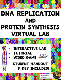 Lab dna to protein synthesis answer key.pdf. Https 5y1 Org Download 0eab3c43364d5cbd1a2ed6e3bf56ccfa Pdf