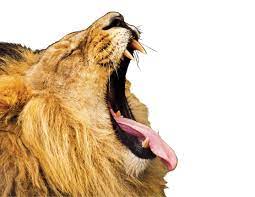 Will The Publicis Lion Roar Be Discusses Maurice Levy S Parting Legacy Lion Roar Legacy