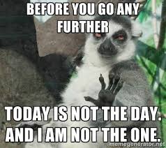 Before You Go Any Further Today Is Not The Day A Funny Animal Photos Funny Animal Pictures Funny Pictures