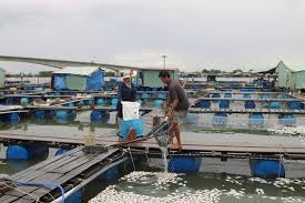 Tập 18 cũng là tập cuối kết thúc giọng ải giọng ai mùa 1, với sự góp mặt của hai khách mời dễ thương hoà minzy và bạch công khanh. Ca Ná»•i Tráº¯ng Bá»¥ng Ken Cá»©ng Máº·t NÆ°á»›c Song Cha Va