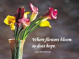 Check spelling or type a new query. Regalo Manila Blog On Twitter Where Flowers Bloom So Does Hope Lady Bird Johnson Flowers Hope Quote Quotes Qotd