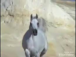 موسى حافظ لا تذكر اللي ما يذكرك Youtube