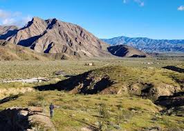 Promises that this typically dry terrain other flowers in the lush desert include the desert lily, the desert sunflower and the parish poppy. Service In Anza Borrego Desert State Park Sierra Club Outings