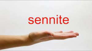 How to Pronounce sennite - American English - YouTube