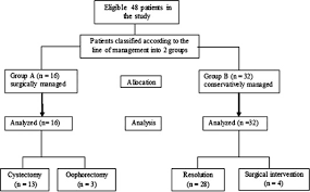 Hemorrhagic Ovarian Cysts Clinical And Sonographic Correlation With The Management Options Sciencedirect