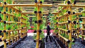 Quand Le Potager Urbain S Invite En Ville Idees Jardin Jardins Jardins Potagers Verticaux
