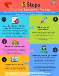 what you should know about the fda alert on grain free dog