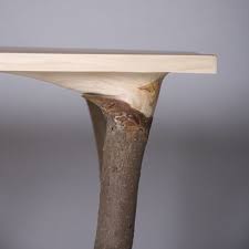 Fragments Of Nature 1 Jpg 500 500 Pixels Wood Furniture Furniture Decor