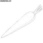 How To Draw A Radish Drawingforall Net 🍅 vegetables drawing easy step by step. how to draw a radish drawingforall net