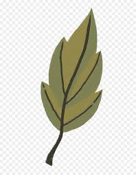 We did not find results for: Daun Lukisan Cat Air Warna Gambar Png