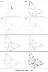 Wie Zeichnet Man Ein Monarchfalter Druckbar Schritt Fur Schritt Zeichenblatt Drawingtu Schmetterlingszeichnung Kunstzeichnungen Blumenzeichnung