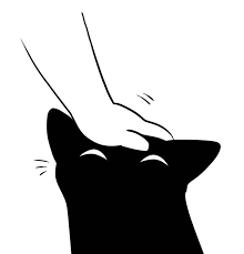 When You Stop Petting Your Cat And It Does The Occupation Beautiful Disaster Cute Comics Cats Beautiful Disaster