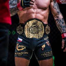 Смотрите прямую трансляцию oktagon mma (чехия). Oktagon Mma And New Facebook