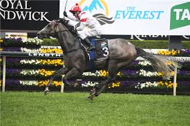 As a bettor you will also find that races from australia can take quite a bit longer to go official. The Everest Past Winners Results Australia Racing And Sports