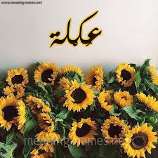 ماذا أفعل إذا ظهرت عليّ أعراض؟ يتعافى معظم المصابين بفيروس كورونا بعد خضوعهم للراحة وتخفيف الألم (مثل تناول الباراسيتامول، المعروف أيضا باسم الأسيتامينوفين). ØµÙˆØ± Ø§Ø³Ù… Ø¹ Ùƒ Ù„Ø© Ù‚Ø§Ù…ÙˆØ³ Ø§Ù„Ø£Ø³Ù…Ø§Ø¡ Ùˆ Ø§Ù„Ù…Ø¹Ø§Ù†ÙŠ