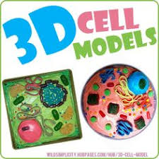 Check spelling or type a new query. 200 Plant Cell School Project Ideas Plant Cell Cells Project Cell Model