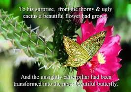 Flowers have inspired many influential people to discover meaning in their lives and improve the world. Quotes About Ugly Flowers 26 Quotes