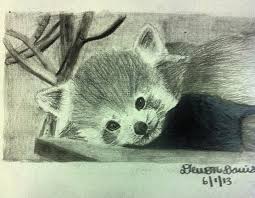 Red pandas, like giant pandas, are bamboo eaters native to asia's high forests. Red Panda Drawing By Devondavis On Deviantart