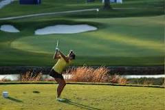 Image result for what is an albatross in the game of golf