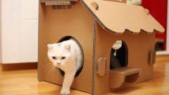 kedi evi modelleri ile kedinize sicak bir yuva kurun kedi evi kedi fikirler