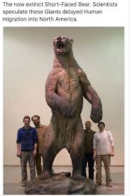 Pin By Daniel Mcnew On A Bear Don T Care Short Faced Bear Prehistoric Animals Extinct Animals