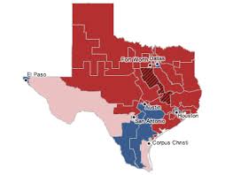 Texas Election Results 2010 The New York Times