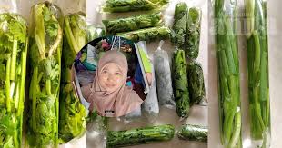 Setelah ditiriskan, barulah simpan dalam lemari pendingin. Cara Simpan Sayuran Herba Dalam Plastik Aiskrim Kekal Segar Dan Tahan Lama Mingguan Wanita