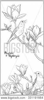 Download and print free magnolia coloring pages to keep little hands occupied at home; Magnolia Tree Branch Vector Photo Free Trial Bigstock