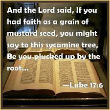 Faith Luke 17 6 And The Lord Said If Ye Had Faith As A Grain Of Mustard Seed Ye Might Say Unto This Sycamine Tree Be Words Of Jesus Lamentations Sayings