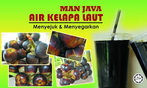 Minuman elektrolit dari kelapa ini mengandung beberapa zat yang tentunya berguna bagi tubuh yaitu seperti natriun, kalium, kalsium. Air Kelapa Laut Air Kelapa Laut Added A New Photo