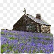 Check spelling or type a new query. Free Flower Cross Png Png Transparent Images Pikpng