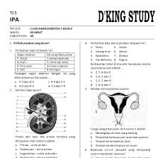 Check spelling or type a new query. Terkini Soal Try Out Ipa Kelas 9 Dan Kunci Jawaban