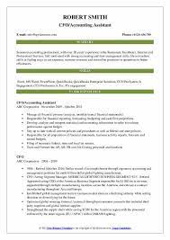 This job description for a chief financial officer job can help you identify the necessary skills for the job. Cfo Resume Samples Qwikresume