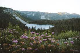 Hours may change under current circumstances Rustic Cabin Rentals Washington State Best Cabins In Washington