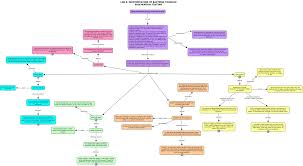 lab 8 identification of bacteria through biochemical