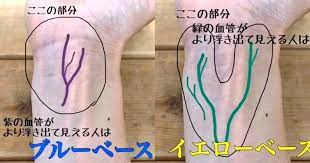 ブルベかイエベか みたいな話があり私はどっちかな と調べたらイエベでした 笑 オレンジ リップとチーク買うわ 笑 ブルベかイエベか みたいな話があり私はどっちかな と調べたらイエベでした 笑 オレンジ リップとチーク買うわ 笑 ブルベだ イエロー