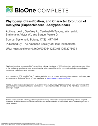 Image result for Acalypha welwitschiana