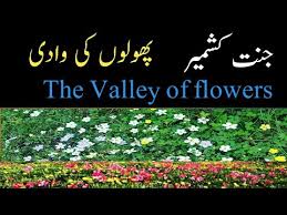 Beautiful kashmir valley of flowers. Valley Of Flowers In Kashmir Beauty Of Kashmir Kashmir Tour With Friends New Vlogs My Kashmir Di Youtube