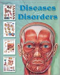 Diseases Disorders The Worlds Best Anatomical Chart
